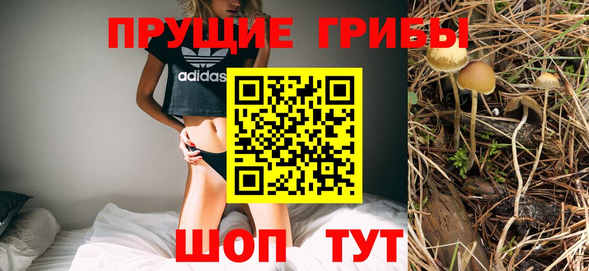 Новозыбков  Галлюциногенные грибы GOLDEN TEACHER  Вход с VPN 