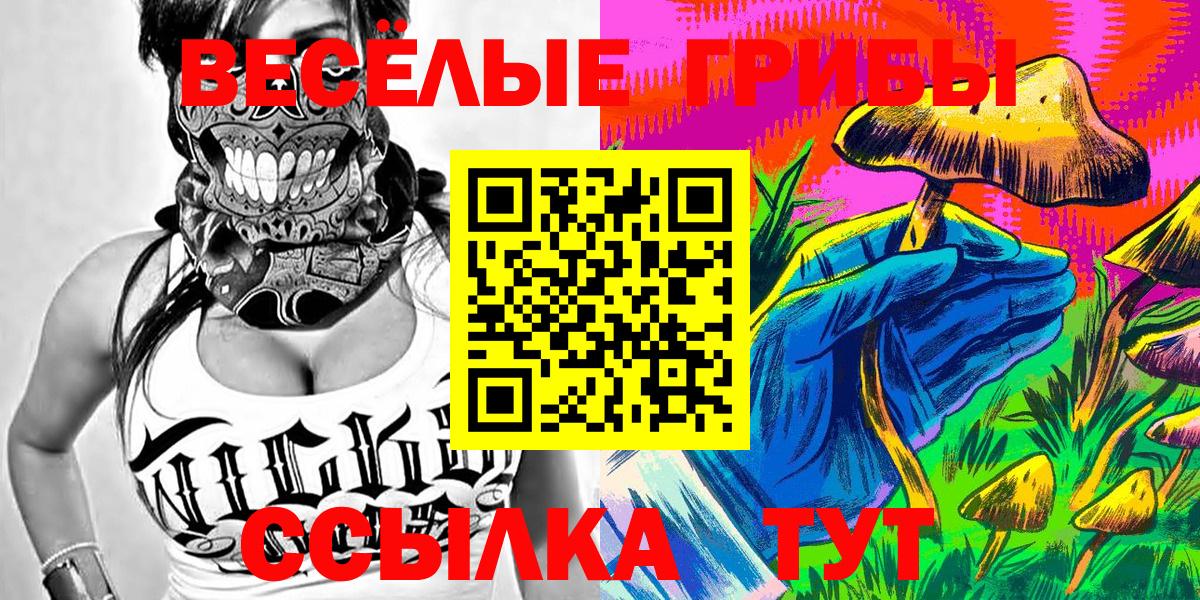 Псилоцибиновые грибы MAGIC MUSHROOMS Новозыбков